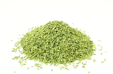 Fennel seeds used in Ridtobak, symbolizing natural remedies for quitting smoking and tobacco habits.