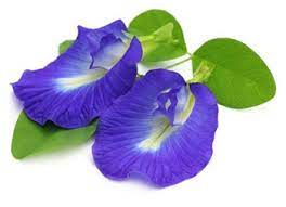 Stop Smoking, Gutkha naturally with 100% ayurveda
